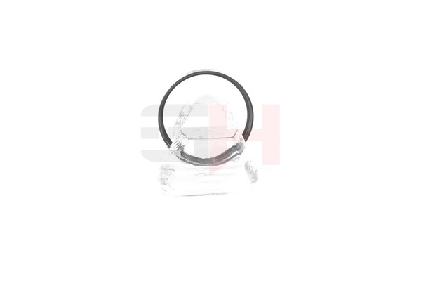 GH GH493763 Abs tone ring CITROËN C4 I Picasso (UD) 1.6 HDi 109 hp Diesel 2009