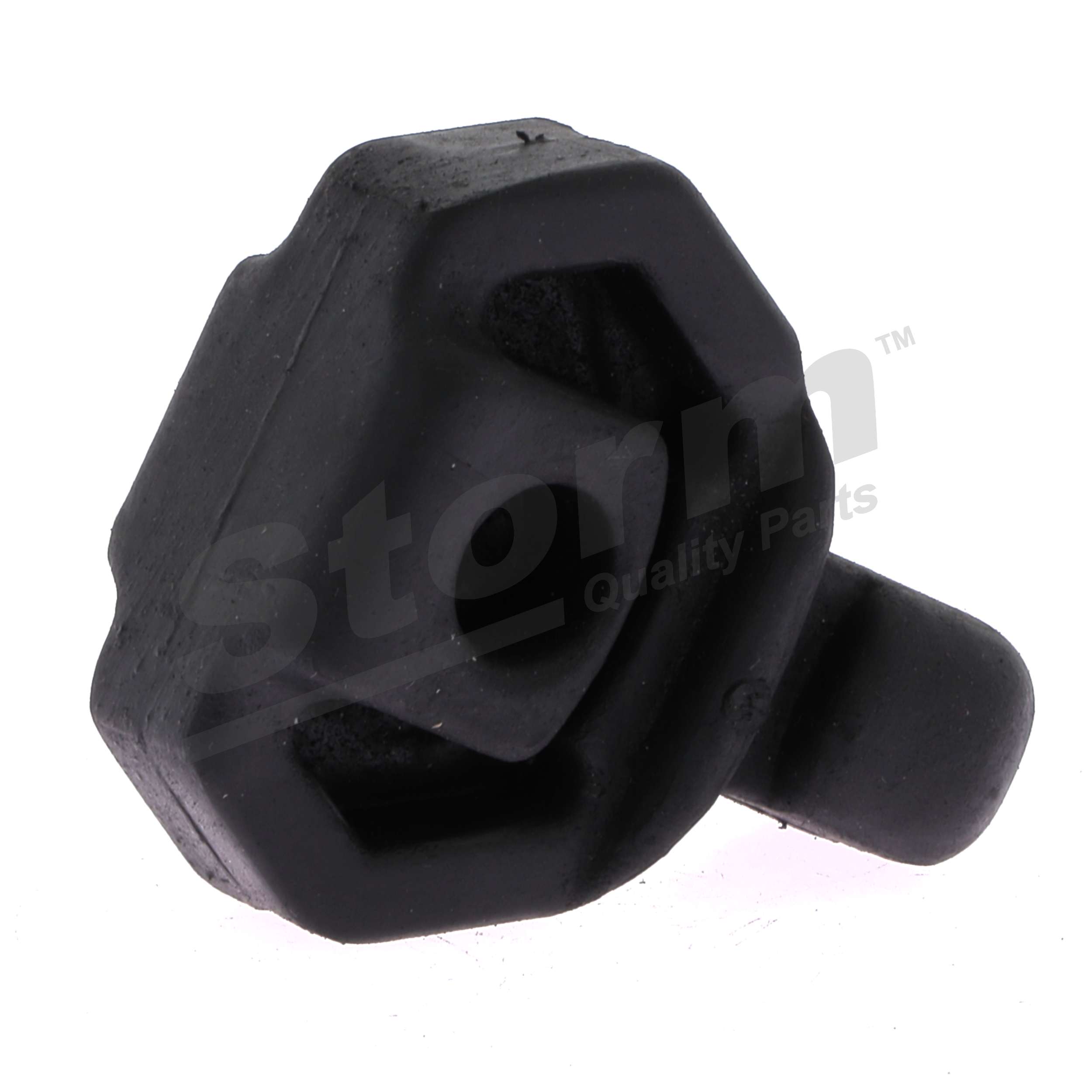 STORM QUALITY PARTS F0765 houder, uitlaatsysteem RENAULT 19 II Hatchback 1.4 (B/C532) 58 Pk Benzine 1995 kosten