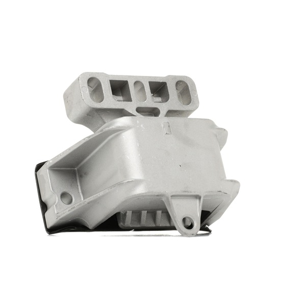 RIDEX 249M0174 Mounting, manual transmission