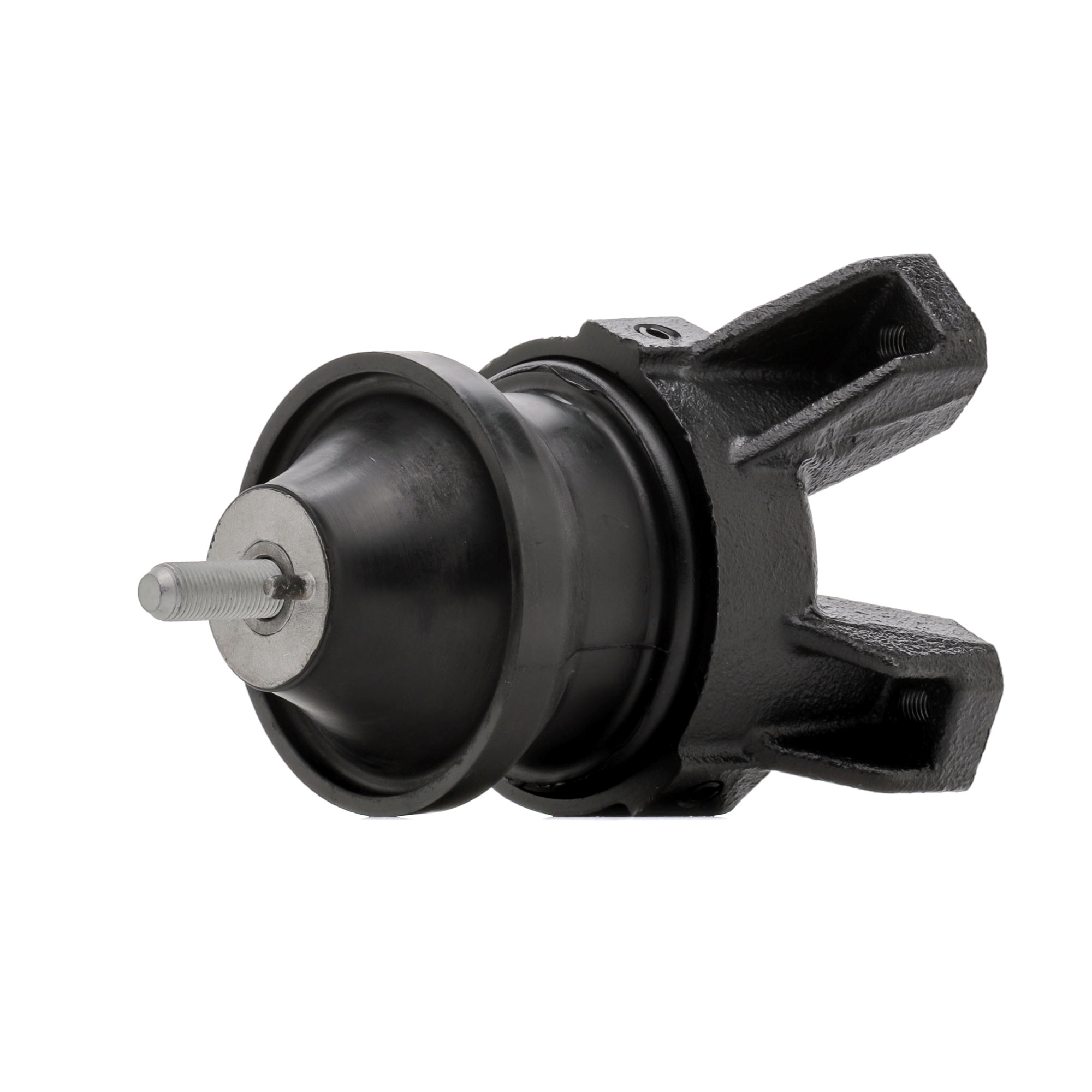 RIDEX 247E0821 Variklio montavimas pigu parduotuvė