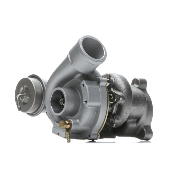 RIDEX Turbocharger 2234C11409
