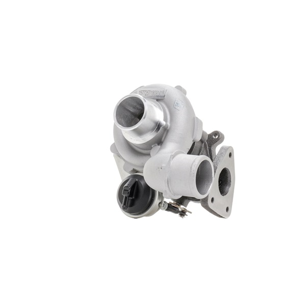RIDEX Turbocharger 2234C11424