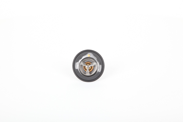 Continental Opening Temperature: 77°C, 52mm, with seal D1: 52mm Thermostat, coolant 28.0200-4057.2 buy