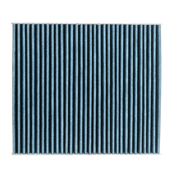RIDEX <span>PLUS</span> 424I0641P Pollen filter