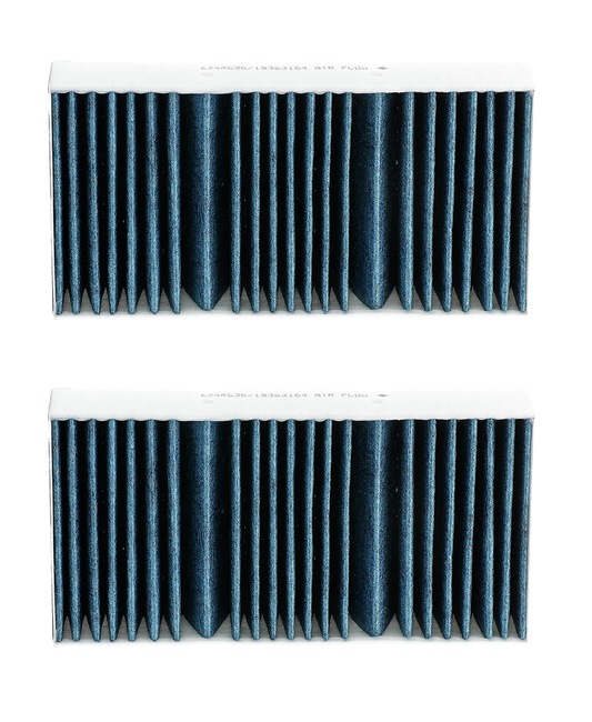 RIDEX <span>PLUS</span> Pollen filter 424I0621P