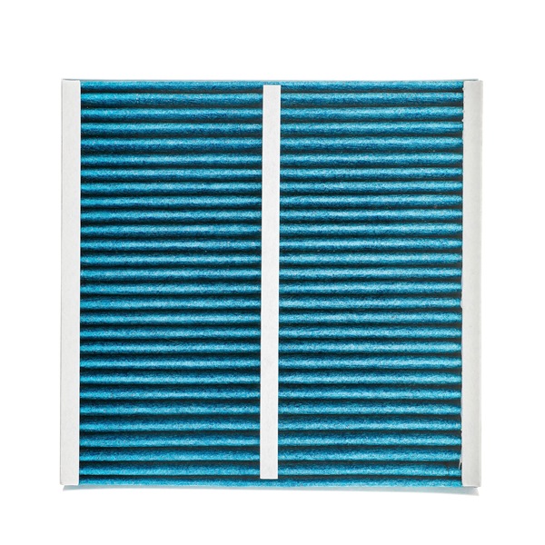 RIDEX <span>PLUS</span> Pollen filter 424I0576P