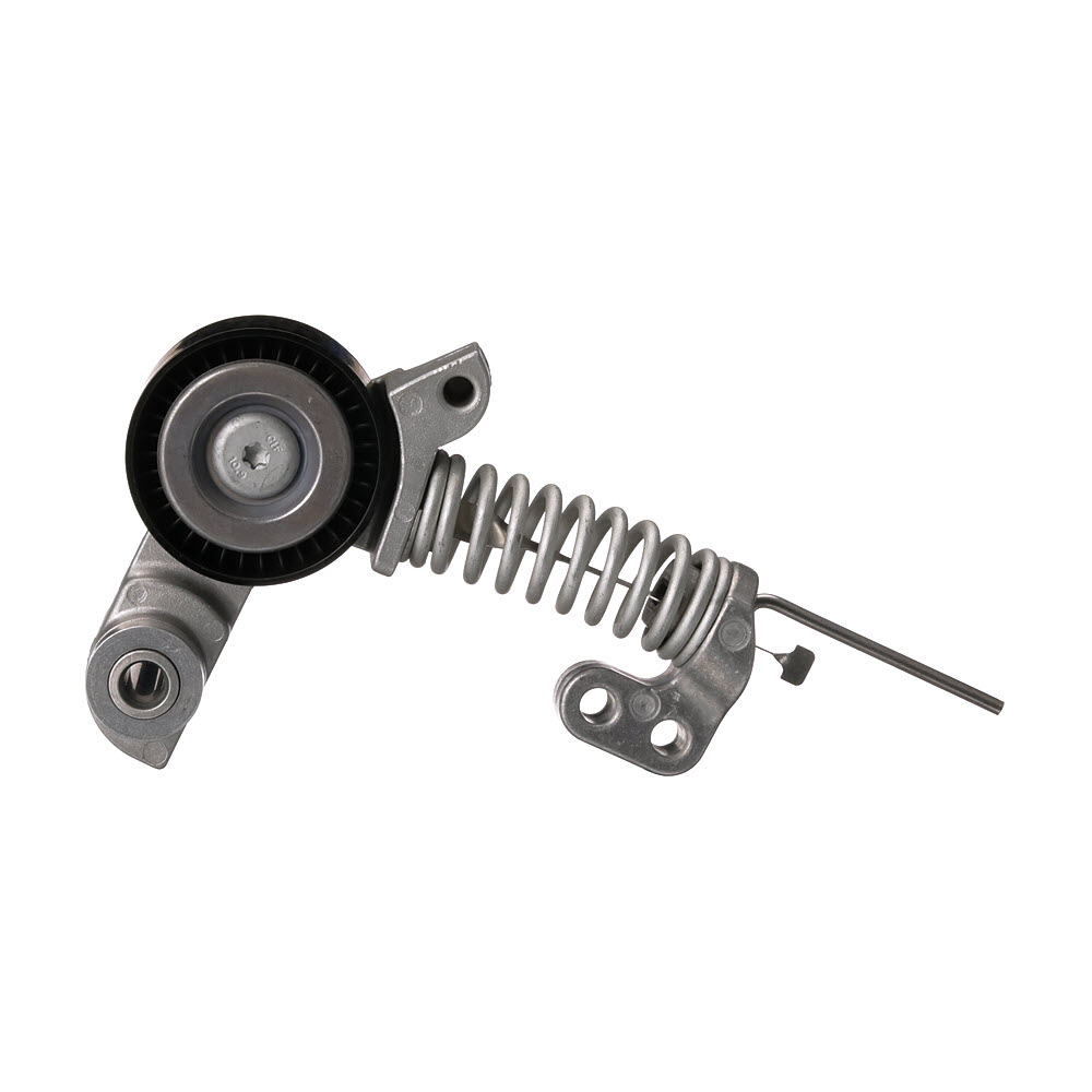 GATES DriveAlign Tenditore T39117 - Alta Qualità Per Trasmissione Auto