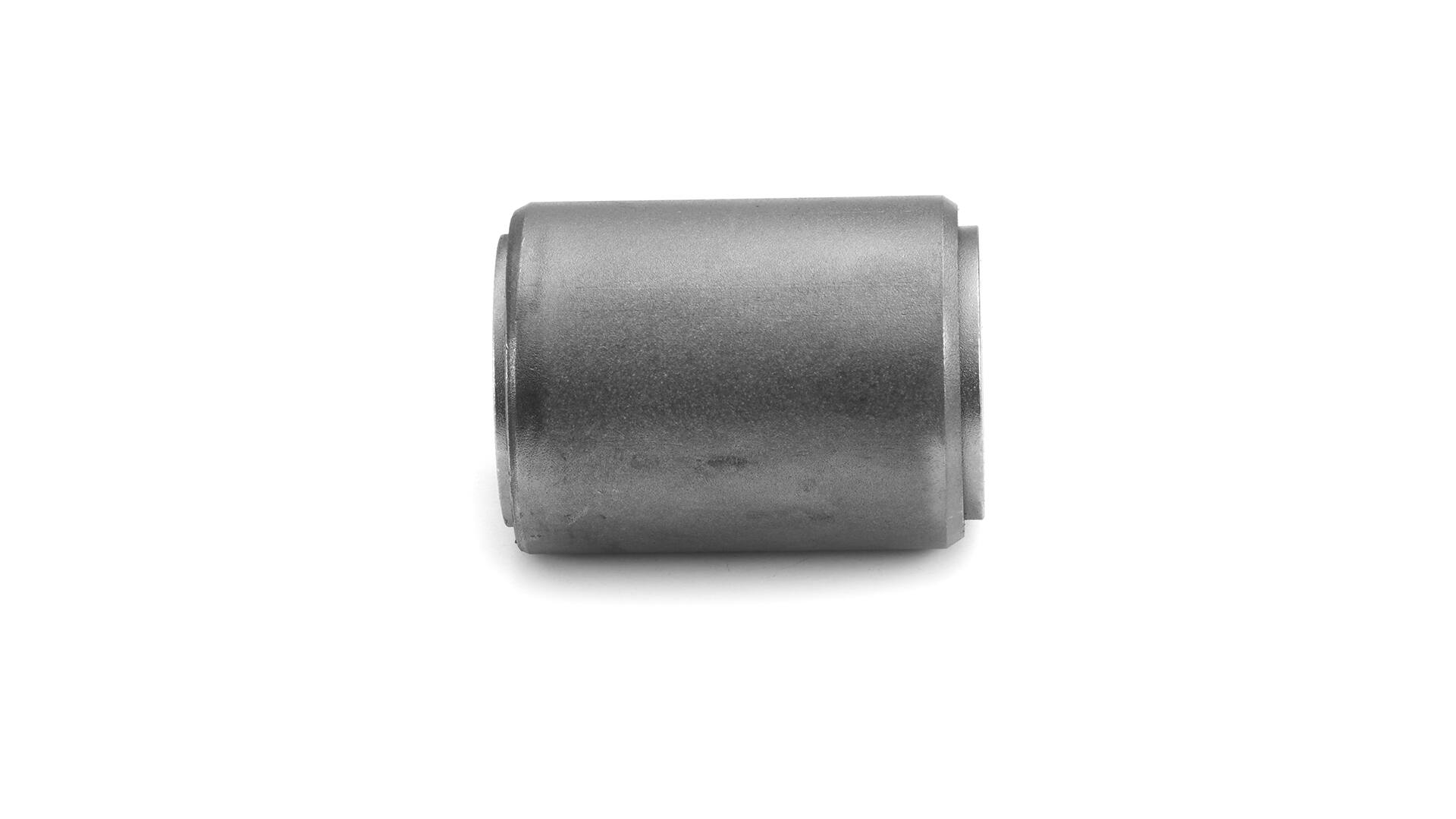 SKF VKDCV 01023 Bush, leaf spring