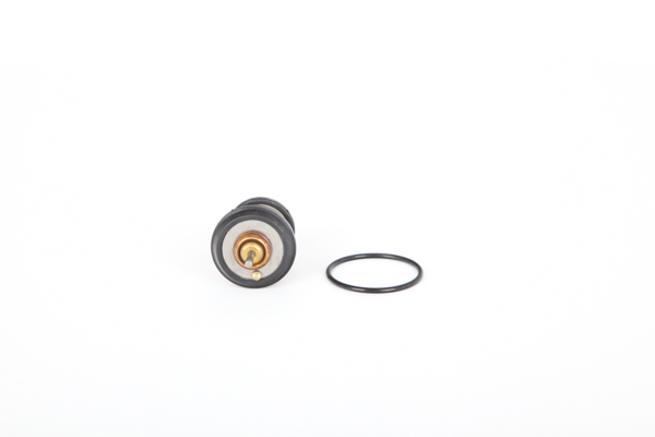 Thermostat Continental Opening Temperature: 95°C, with seal - 28.0200-4111.2