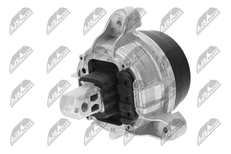 ZPS-BM-005 Vlezajenje, motor NTY 2211 6 860 009 RENAULT