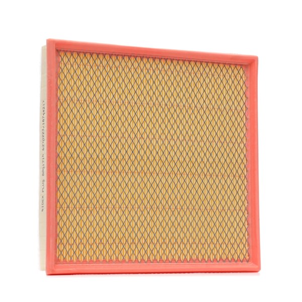 RIDEX <span>PLUS</span> Filtre à air 8A0171P
