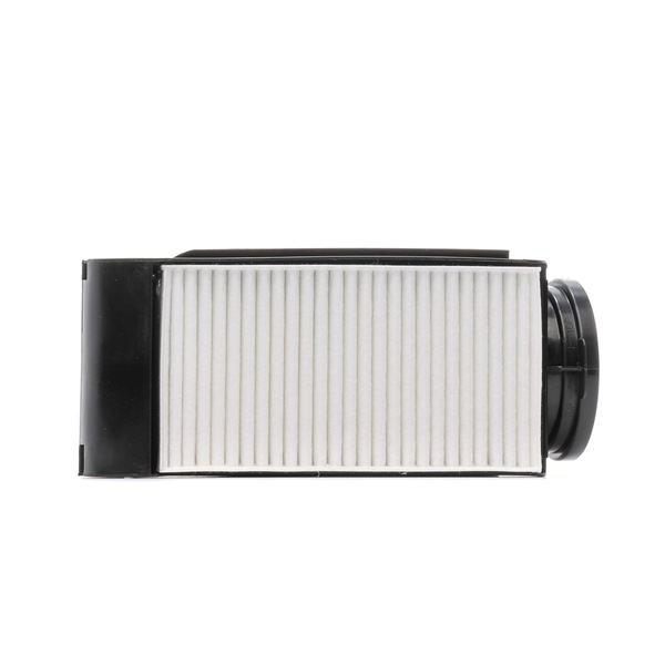 RIDEX <span>PLUS</span> Air filter 8A0771P