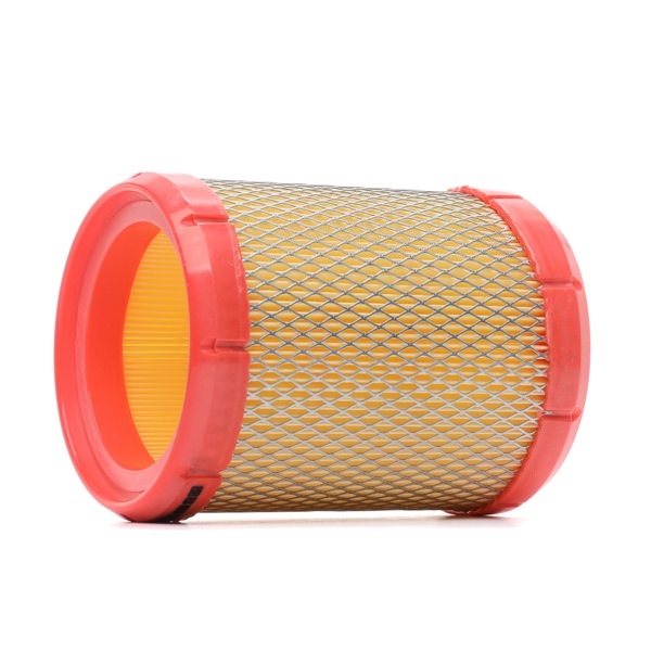 RIDEX <span>PLUS</span> Air filter 8A0106P