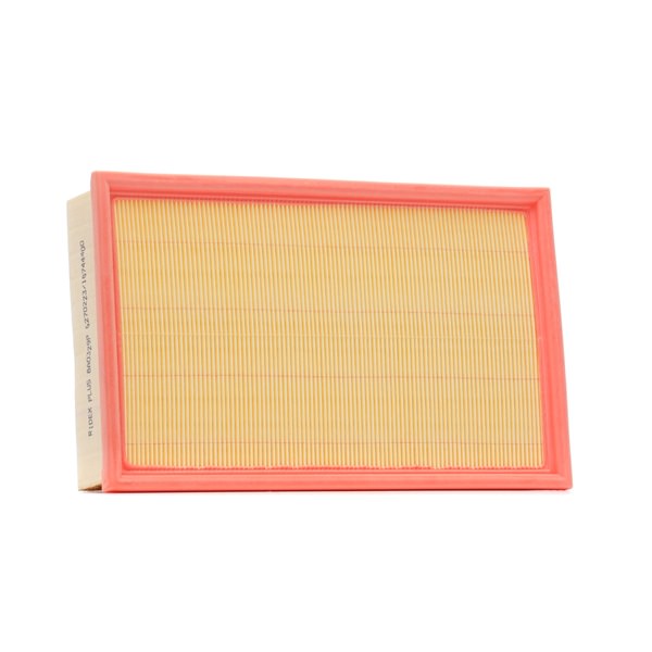 RIDEX <span>PLUS</span> 8A0329P Filtro de ar