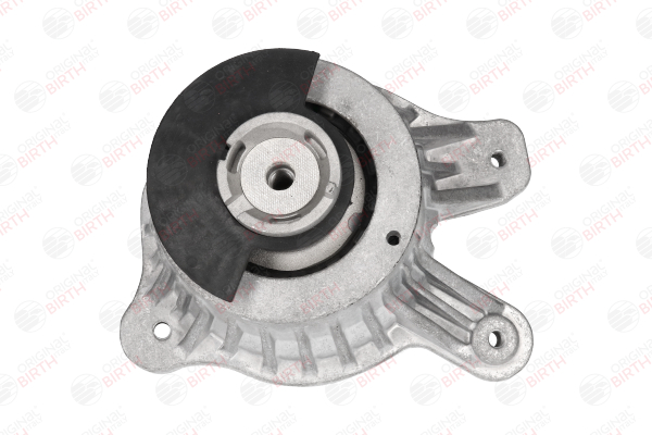 BIRTH Eje delantero, derecha Taco de motor 53543 comprar online