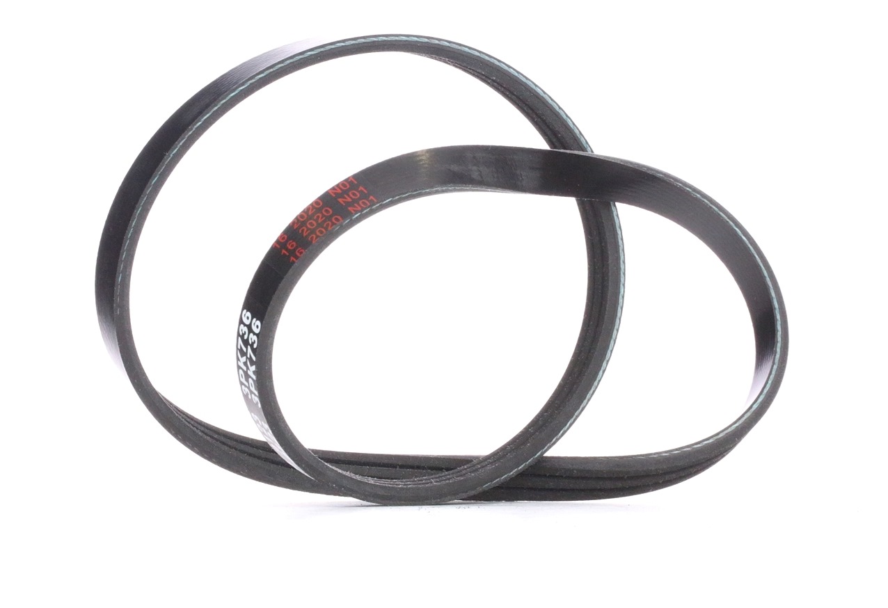 Image of FEBI BILSTEIN V-ribbed belt RENAULT,DACIA 28745 4431887201,3PK732,3PK733 Serpentine belt,Auxiliary belt,Poly V-belt,Ribbed belt,Multi V-belt,Poly belt
