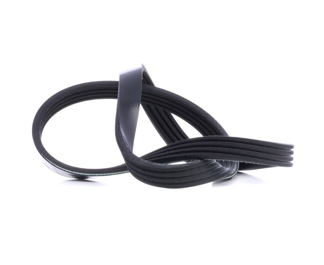 OE 64552246732 90512538 Belt Febi Bilstein 28775 Auxiliary Belt