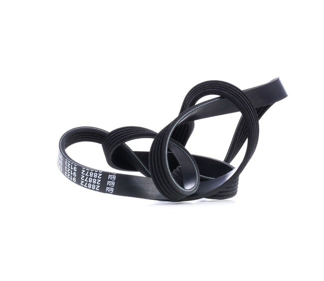 MAPCO V-Ribbed Belts 251295 