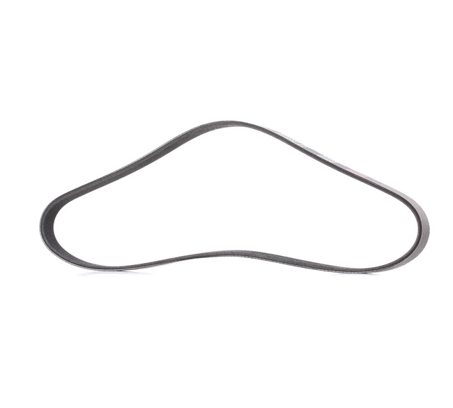 RIDEX <span>PLUS</span> Keilrippenriemen 305P0165P