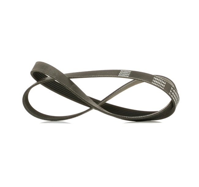 RIDEX <span>PLUS</span> Courroie Poly-V 305P0170P