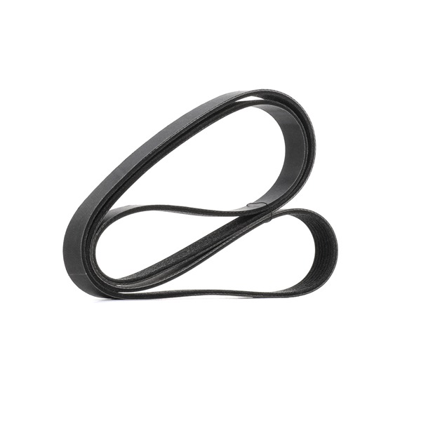 RIDEX <span>PLUS</span> Courroie Poly-V 305P0408P