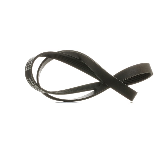 RIDEX <span>PLUS</span> Courroie Poly-V 305P0118P