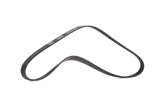 RIDEX <span>PLUS</span> Courroie Poly-V 305P0060P