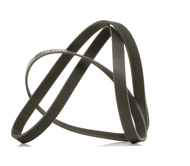 RIDEX <span>PLUS</span> Serpentine belt 305P0146P
