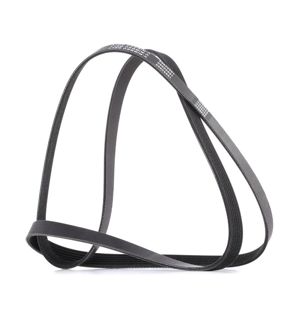 RIDEX <span>PLUS</span> Serpentine belt 305P0069P
