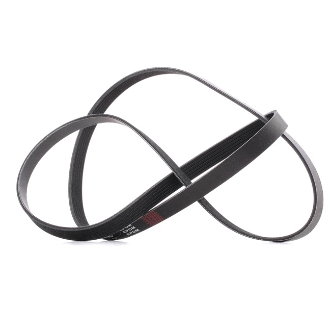 RIDEX <span>PLUS</span> Serpentine belt 305P0508P