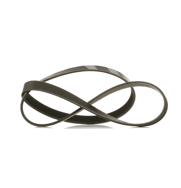 RIDEX <span>PLUS</span> Serpentine belt 305P0289P