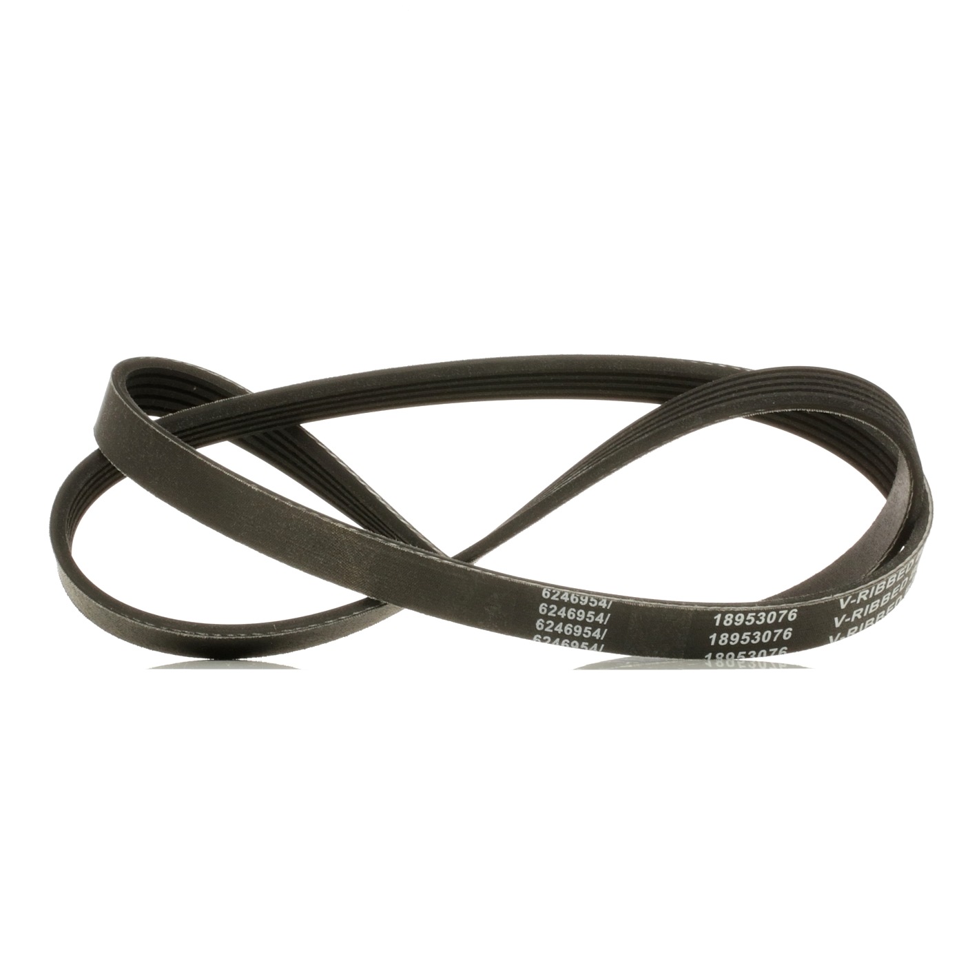MG MGF Ribbed belt 18953076 RIDEX PLUS 305P0392P online buy