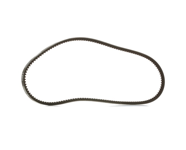 RIDEX <span>PLUS</span> V-Belt 10C0031P