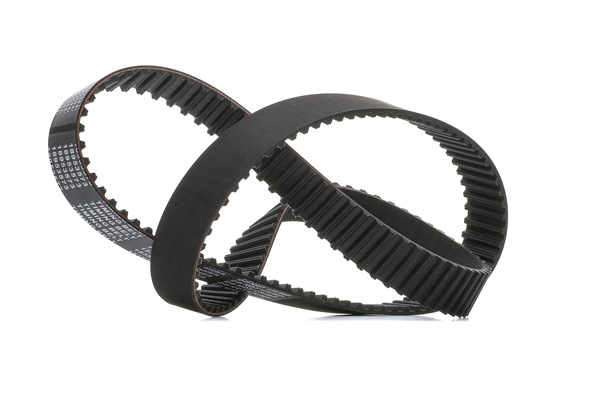 RIDEX <span>PLUS</span> Timing Belt 306T0113P
