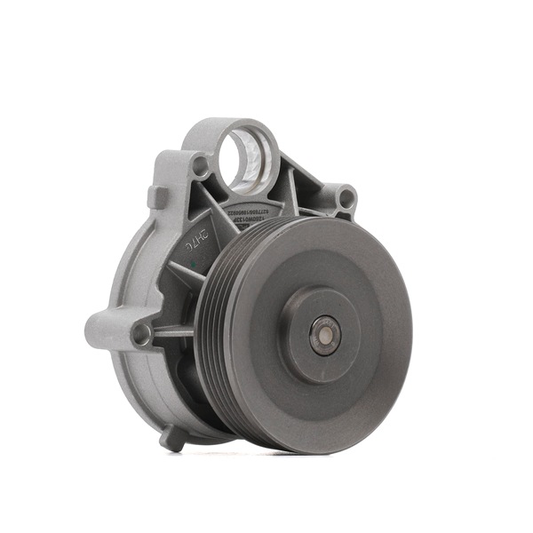 RIDEX <span>PLUS</span> Water pump 1260W0133P