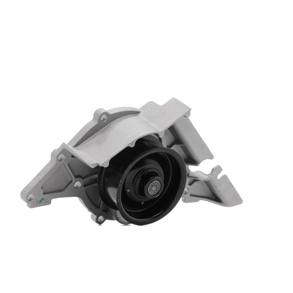 RIDEX <span>PLUS</span> Water pump 1260W0073P