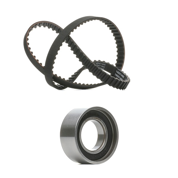 RIDEX <span>PLUS</span> Timing belt kit 307T0073P