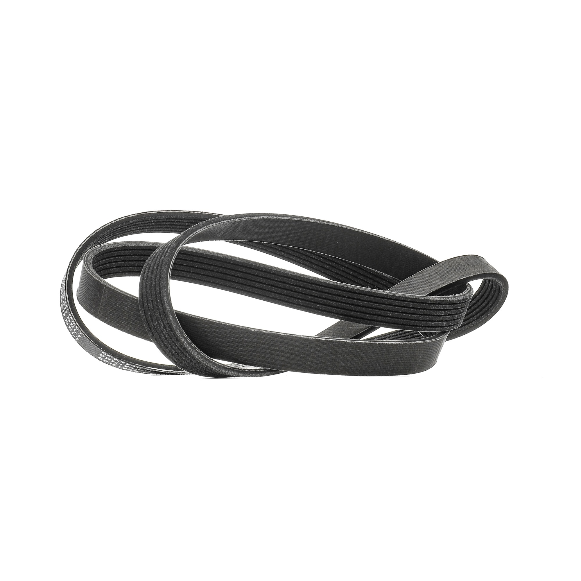 Ford FOCUS V-ribbed belt 18960985 RIDEX PLUS 305P0083P online buy