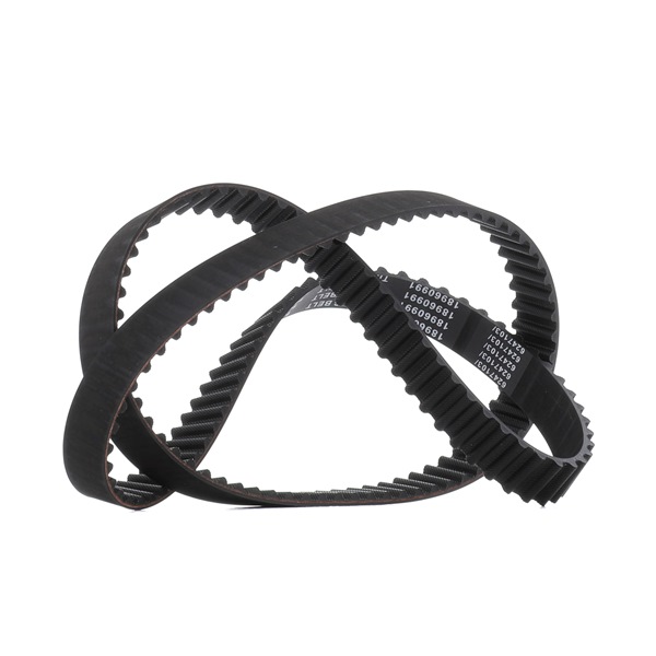 RIDEX <span>PLUS</span> Timing Belt 306T0007P