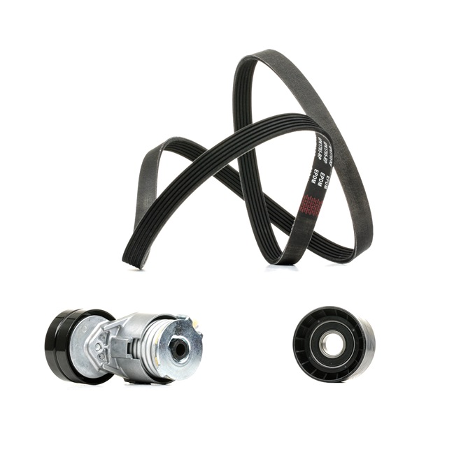 RIDEX <span>PLUS</span> Jeu de courroies trapézoïdales à nervures 542R0020P