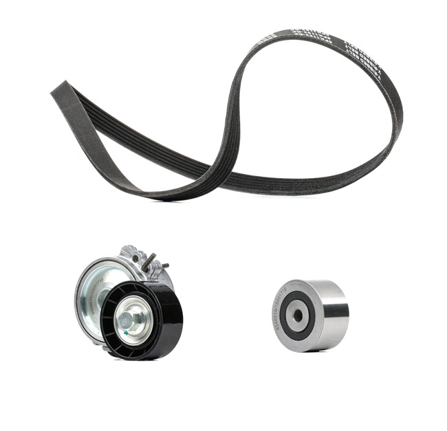 RIDEX <span>PLUS</span> V-Ribbed Belt Set 542R0052P