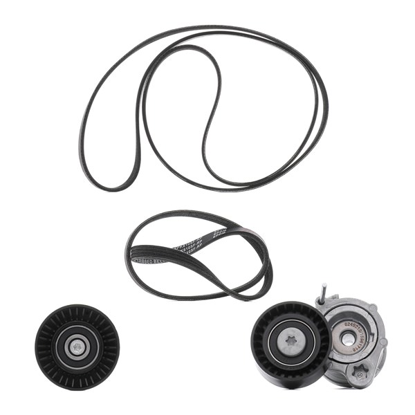 RIDEX <span>PLUS</span> V-Ribbed Belt Set 542R0071P