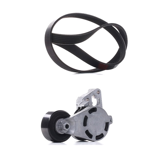 RIDEX <span>PLUS</span> 542R0195P V-Ribbed Belt Set