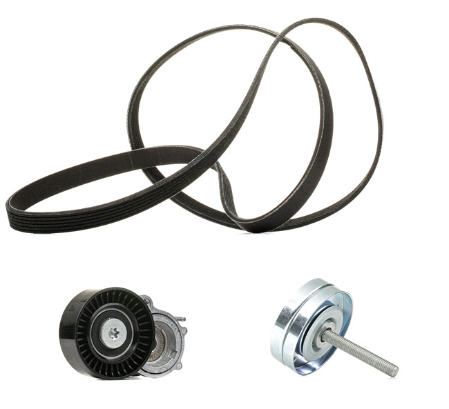 RIDEX <span>PLUS</span> Jeu de courroies trapézoïdales à nervures 542R0225P