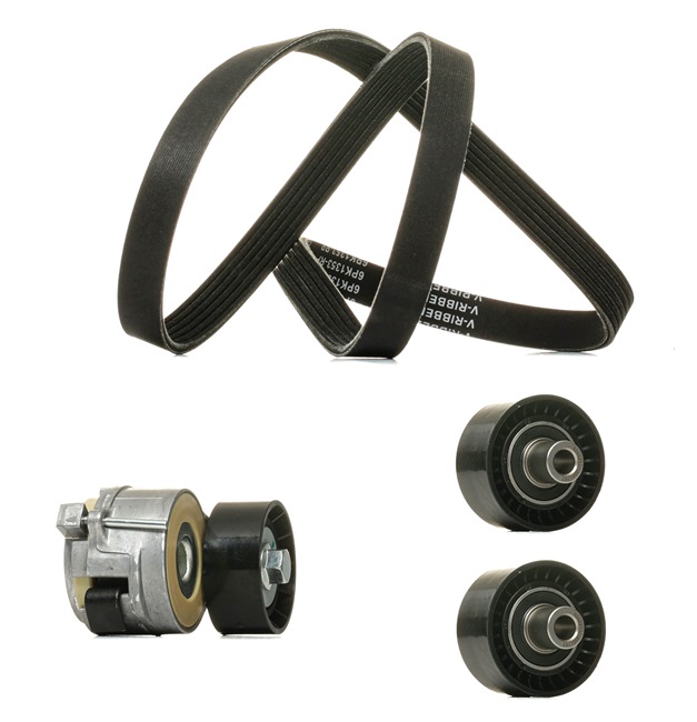 RIDEX <span>PLUS</span> Jeu de courroies trapézoïdales à nervures 542R0297P