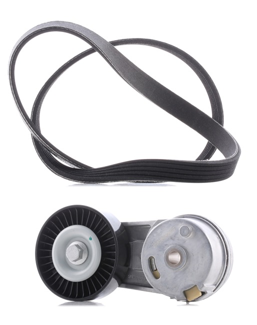 RIDEX <span>PLUS</span> V-Ribbed Belt Set 542R0013P
