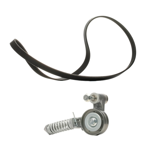 RIDEX <span>PLUS</span> V-Ribbed Belt Set 542R0173P