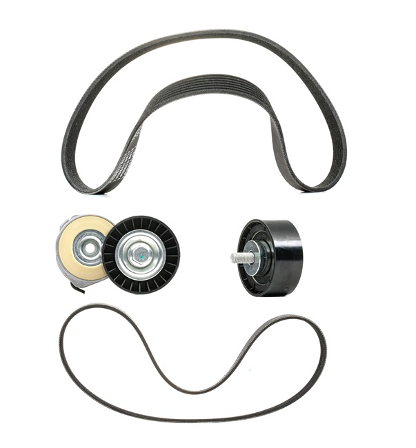 RIDEX <span>PLUS</span> 542R0245P Jeu de courroies trapézoïdales à nervures