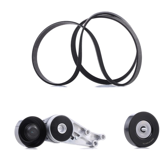 RIDEX <span>PLUS</span> V-Ribbed Belt Set 542R0594P