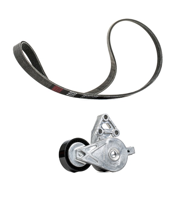 RIDEX <span>PLUS</span> Jeu de courroies trapézoïdales à nervures 542R0193P